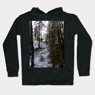 Forest Sun Rays in the Snow #53 Hoodie